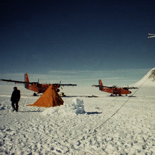 ESTRELLA POLAR