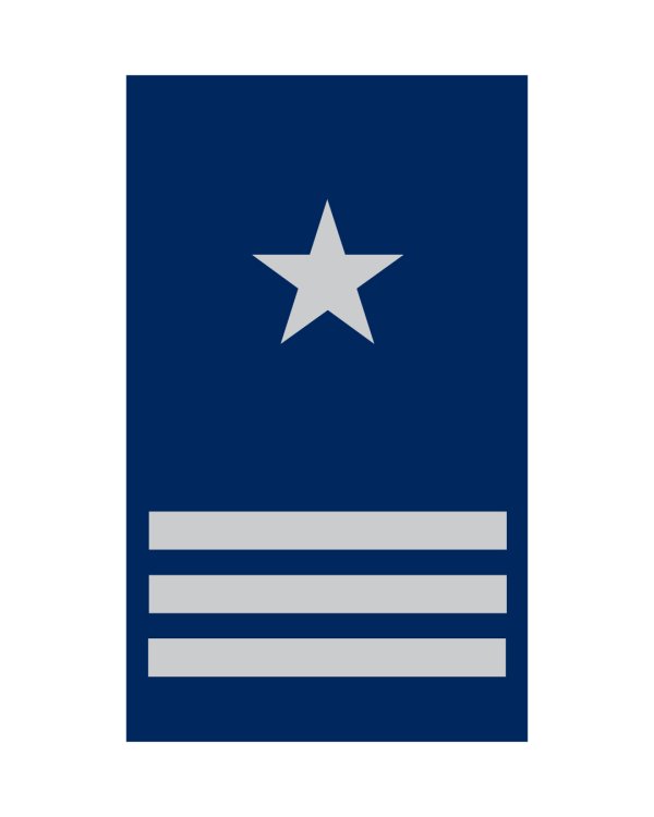 CAPITÁN DE BANDADA