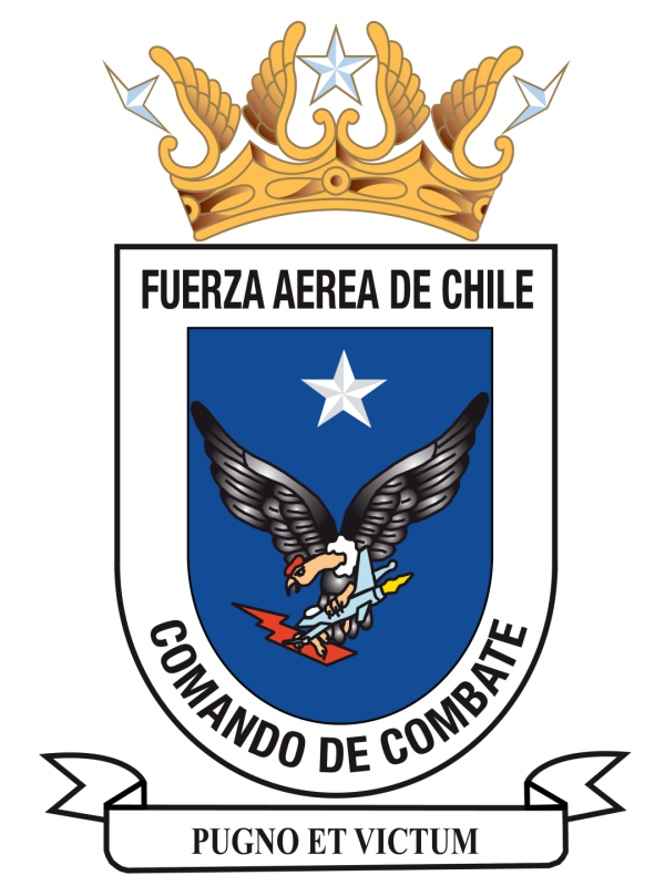 Comando de Combate