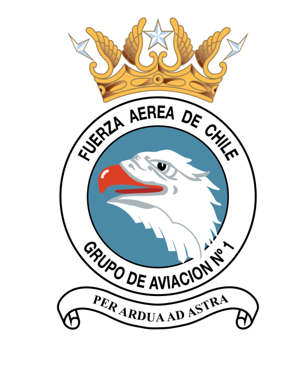 Grupo de Aviación Nº1