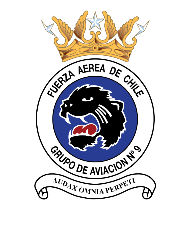 Grupo de Aviación Nº9