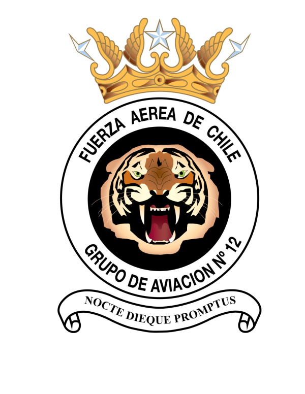 Grupo de Aviación Nº12