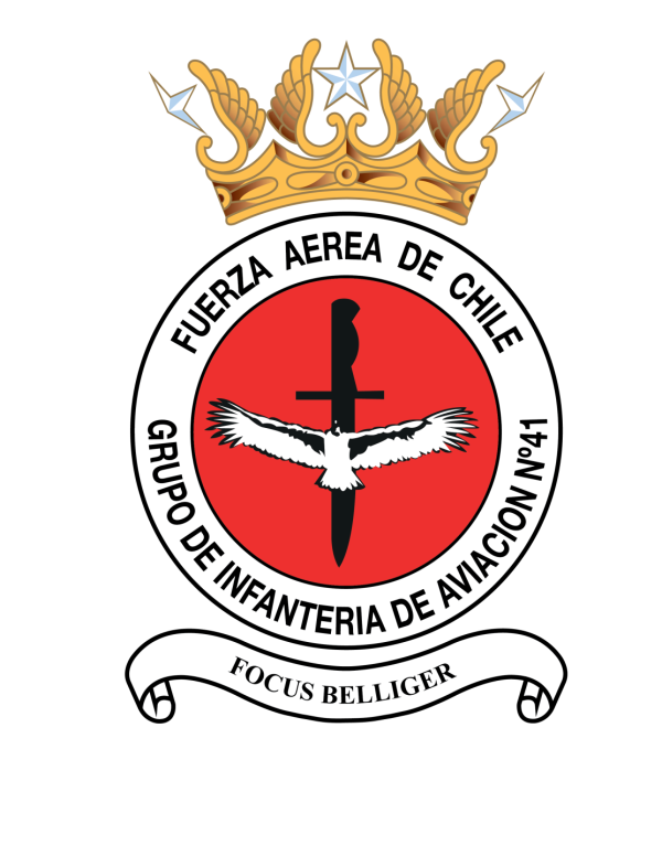 Grupo de Infantería de Aviación Nº41